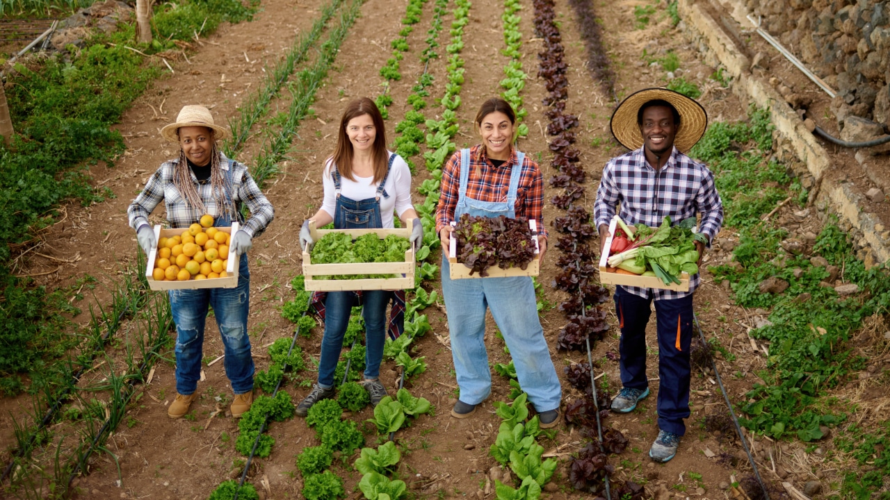 Community Impact Investment and Sustainable Development